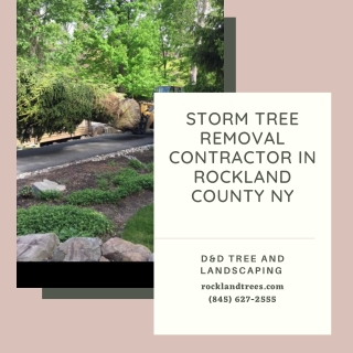 Storm Tree Removal Contractor in Rockland County NY