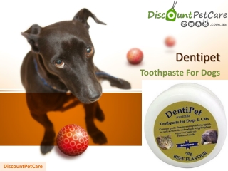 Buy Dentipet Toothpaste For Dogs & Cats | DiscountPetCare