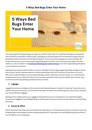 5 Ways Bed Bugs Enter Your Home