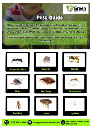 Maine Pest Inspection | Residential Pest Control Maine