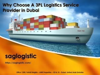 Why Choose A 3PL Logistics Service Provider in Dubai