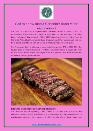 Get to Know about Canada’s Bison Meat