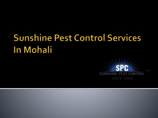 Sunshine Pest Control Services in Mohali
