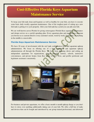 Cost-Effective Florida Keys Aquarium Maintenance Service