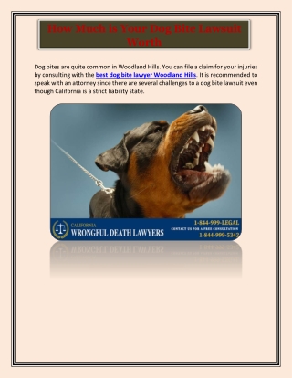 How Much is Your Dog Bite Lawsuit Worth?