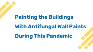 Painting the Buildings With Antifungal Wall Paints During This Pandemic