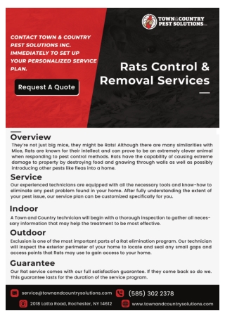 exterminator syracuse ny syracuse termite control