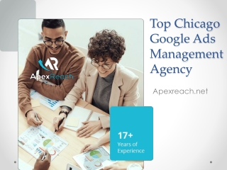 Top Chicago Google Ads Management Agency - Apexreach.net