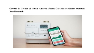 North America Smart Gas Meter Market, North America Smart Gas Meter Industry