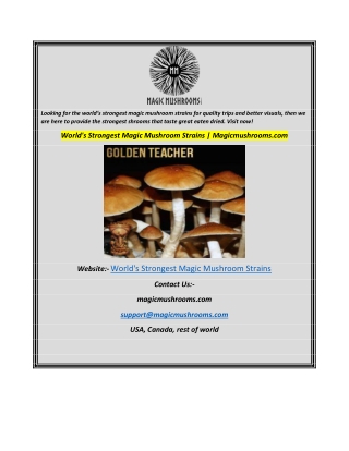 World's Strongest Magic Mushroom Strains Magicmushrooms.com