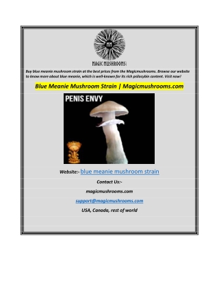 Blue Meanie Mushroom Strain  Magicmushrooms.com