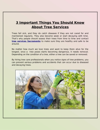 Is Detailed Information Required of the Tree Service Providers You Are Going to Hire?