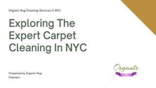 Exploring The Expert Cleaning In NYC