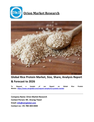 Global Rice Protein Market Trends, Size, Competitive Analysis and Forecast 2020-