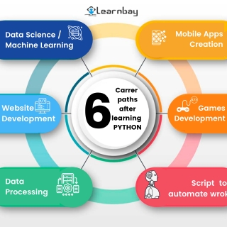 Career paths  after  learning  PYTHON