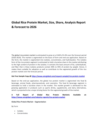 Global Rice Protein Market