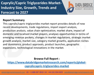 Caprylic/Capric Triglycerides Market | In-depth Research on Market Business