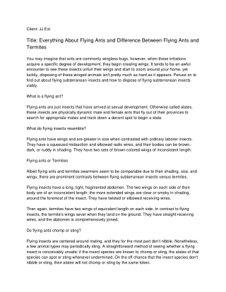 Everything About Flying Ants and Difference Between Flying Ants and Termites_ JJ Ext