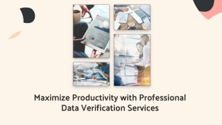 Maximize Productivity with Professional Data Verification Services