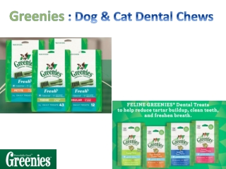 Buy Greenies Dental Treats and Chews for Dogs and Cats| Dental Treatment Pets