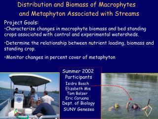 Distribution and Biomass of Macrophytes and Metaphyton Associated with Streams