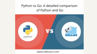 Python vs Go