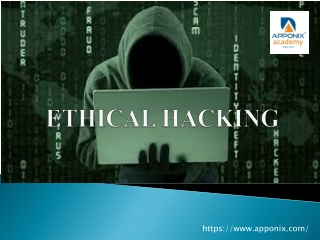 Apponix ethical hacking