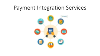 Payment Integration Services