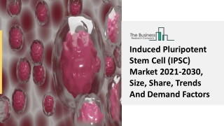 Global Induced Pluripotent Stem Cell (IPSC) Market Competitive Strategies 2030