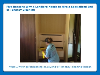 Hire a Specialized End of Tenancy Cleaning