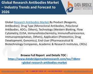 Research Antibodies Market