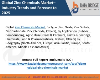 Zinc Chemicals Market