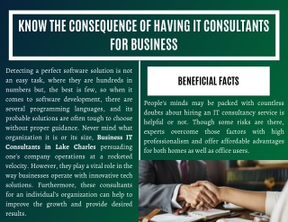 Know the Consequence of Having IT Consultants for Business