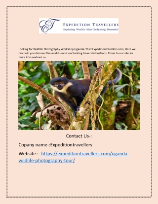 For Wildlife Photography Workshop Uganda | ExpeditiontravellExpeditiontravellers