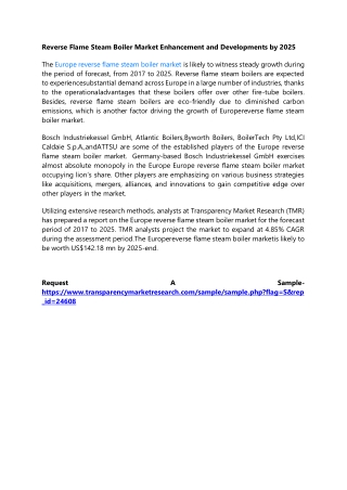 Reverse Flame Steam Boiler Market Enhancement and Developments by 2025