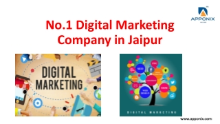 dm.jaipur ppt
