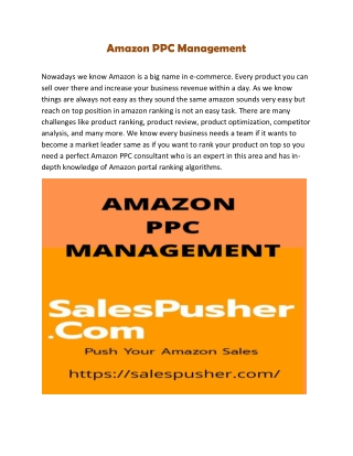 Amazon PPC Management