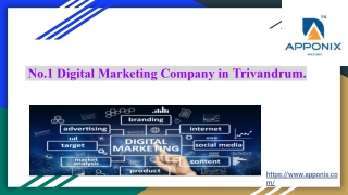 No.1 Digital Marketing Company inTrivandrum. .
