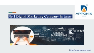 No.1 Digital Marketing Company in Jaipur