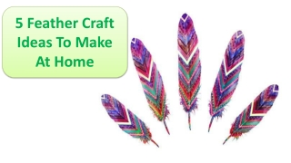 5 Feather Craft Ideas To Make At Home