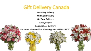 Send a Daisies Flower Fragrance to Your Loved One | Gift Delivery Canada | Free