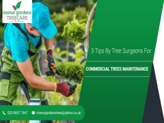 3 Tips By Tree Surgeons in Bromley For Commercial Maintenance