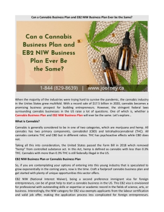 Can a Cannabis Business Plan and EB2 NIW Business Plan Ever be the Same