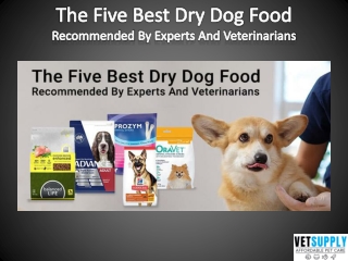 Top 5 Dry Dog Food Recommended by Vets| Pet Food | VetSupply