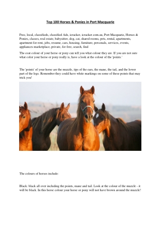 Top 100 horses and ponies in port macquarie