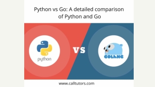 Python vs Go