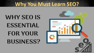 Why You Must Learn SEO