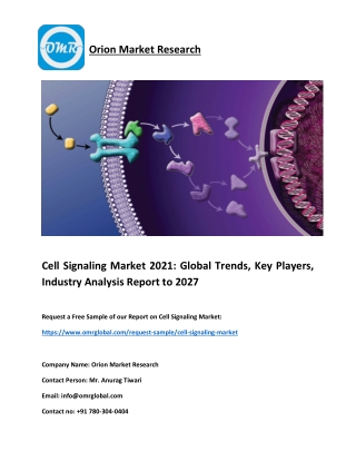 Cell Signaling Market 2021: Global Trends, Key Players, Analysis Report to 2027