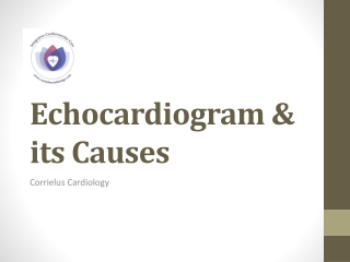 Echocardiogram & its Causes