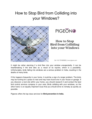 How to Stop Bird from Colliding into your Windows